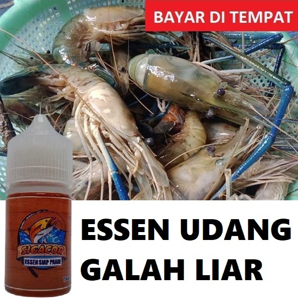 ESSEN PANCING UDANG GALAH LIAR PALING JITU SUPER PREMIUM | ESSEN SIGACOR ISI 30ML