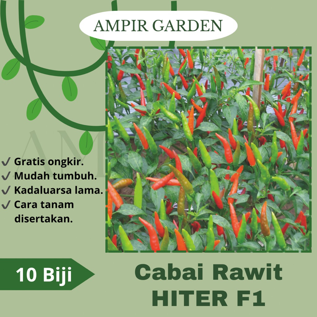 10 Biji Benih Cabai Rawit Hijau HITER F1 Hibrida Unggul f1 / Benih Bibit Tanaman Sayuran Cabe Ijo / 