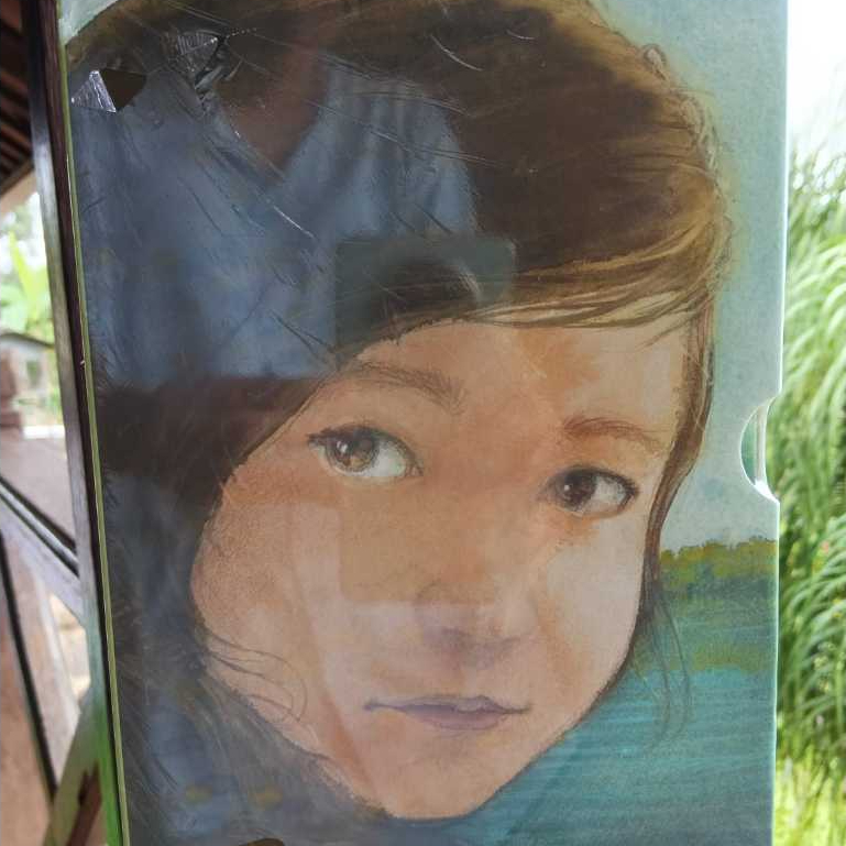 Limited Edition Kate DiCamillo The Raymie Nightingale Trilogy (HC) Box Set Buku Anak Bahasa Inggris