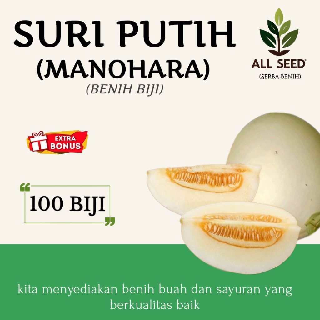 ( 100 biji ) Benih suri putih | bibit biji timun suri | suri Manohara | timun suri putih Manohara
