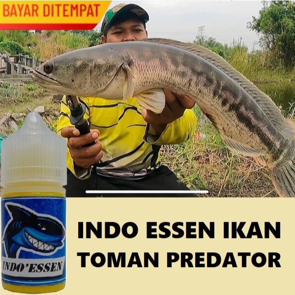 INDO ESSEN IKAN TOMAN PREDATOR PREMIUM AMIS WANGI ISI 30ML