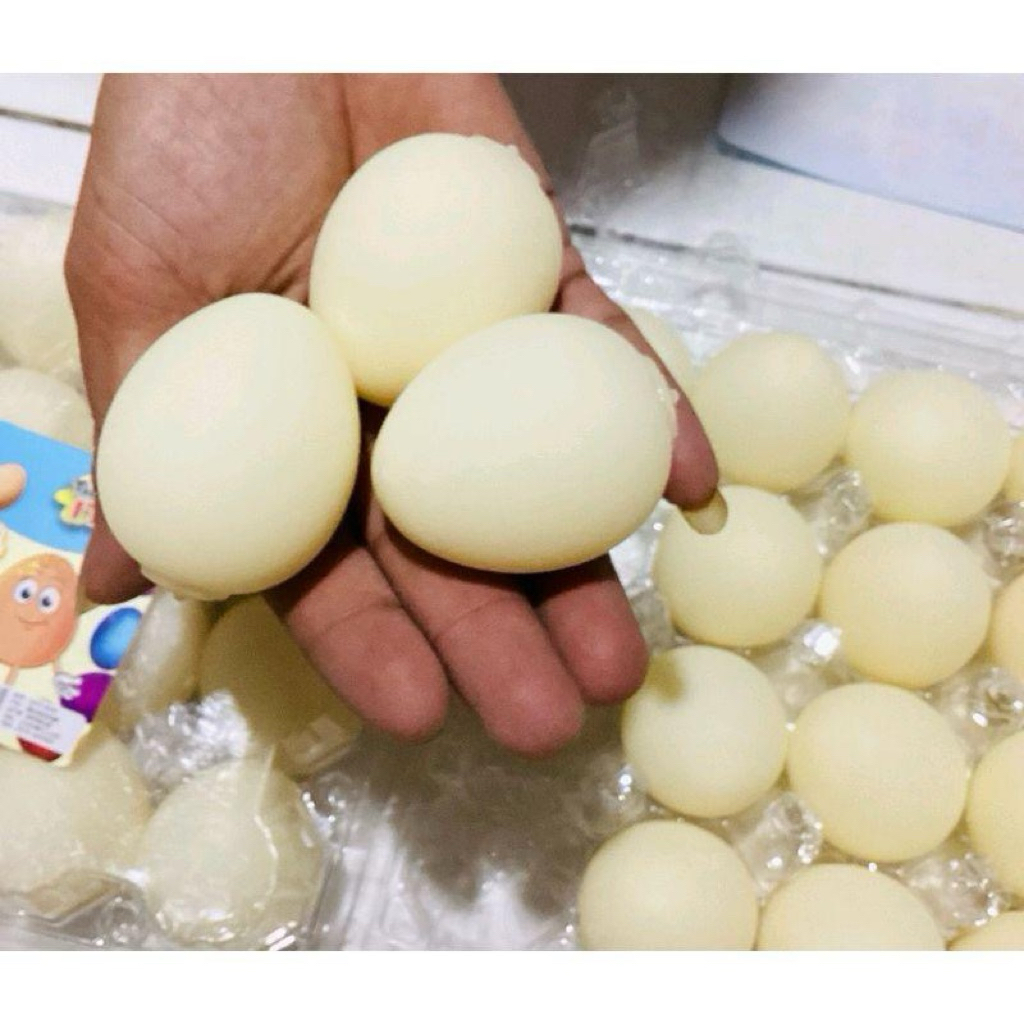 mainan squishy Banting telor,mainan telor