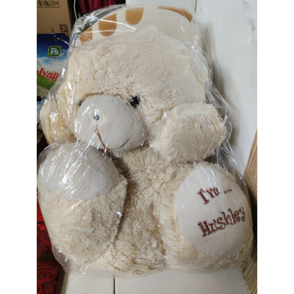 boneka beruang jumbo preloved