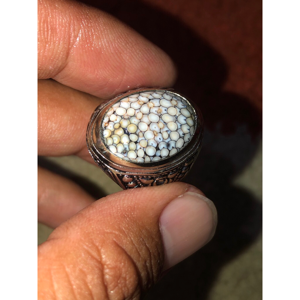 Jipen motif telor kodok