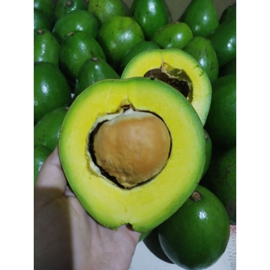 alpukat miki grade A 1kg