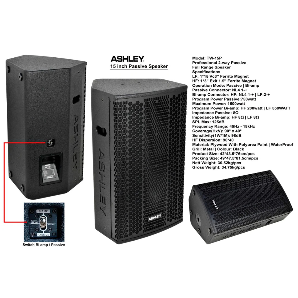 Speaker Pasif ASHLEY TW 15P Original 15 Inch