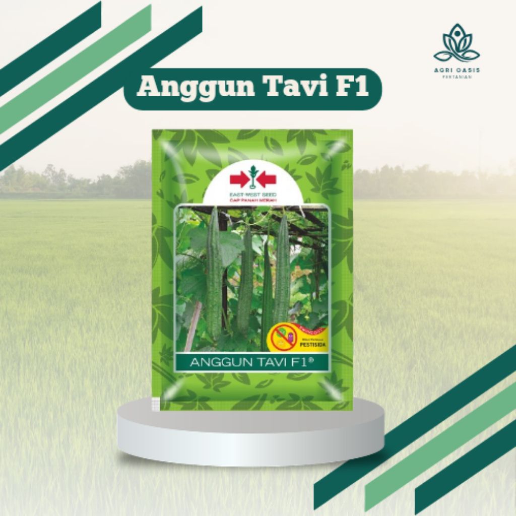 Benih Oyong Benih Gambas Anggun Tavi Panah Merah 75 Butir