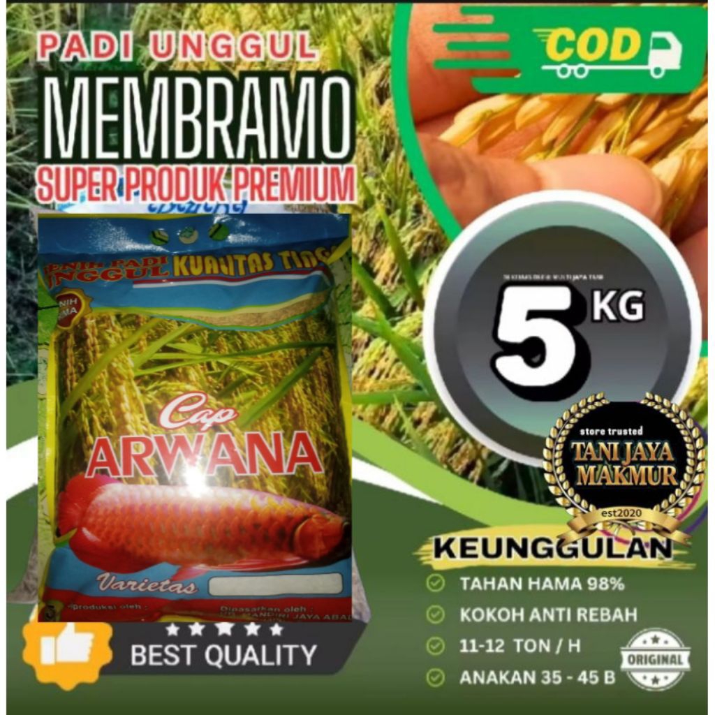 5KG BIBIT BENIH PADI MEMBRAMO SUPER UNGGUL BERKUALITAS, ORI.