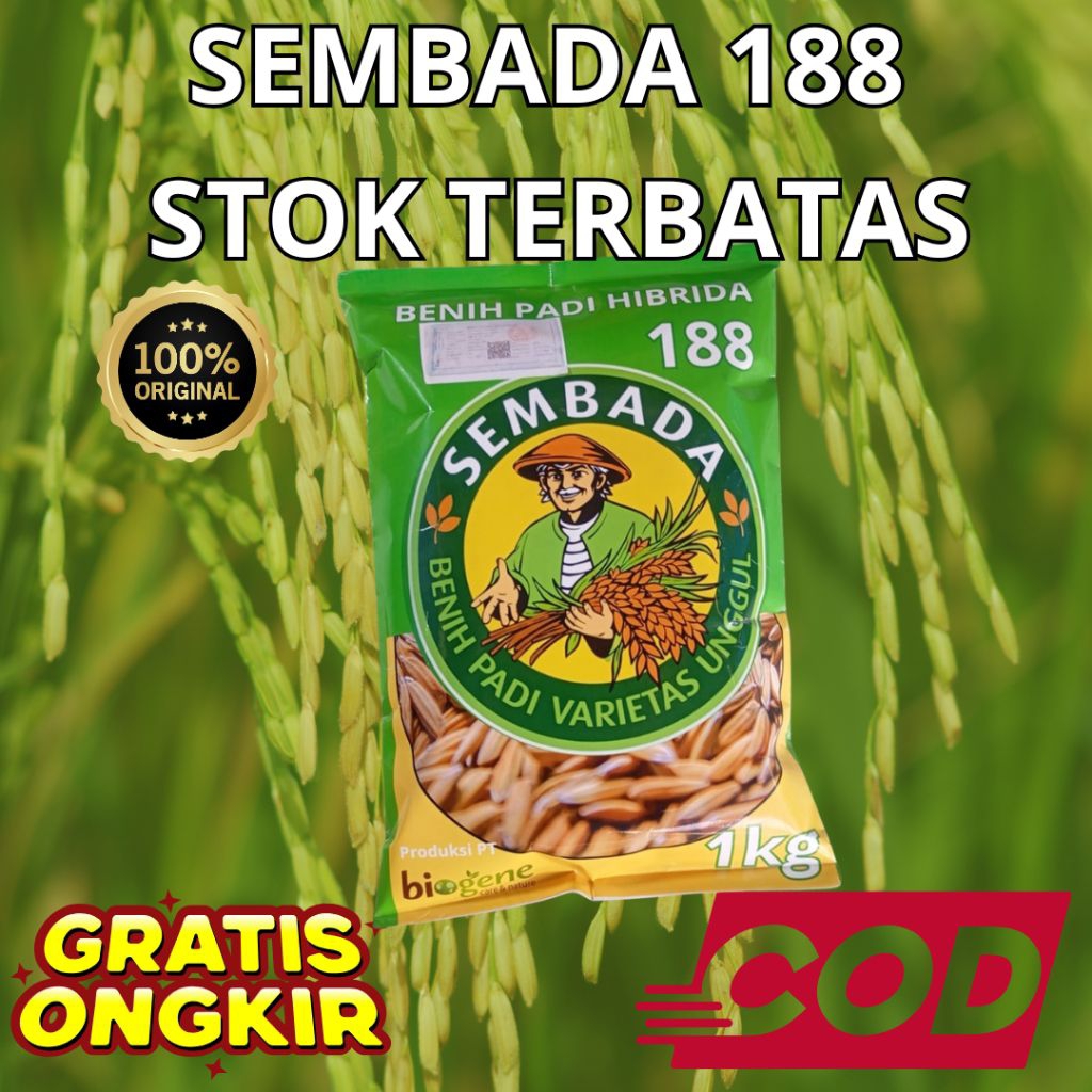 Benih Padi Hibrida Sembada 188 5kg, original berkualitas
