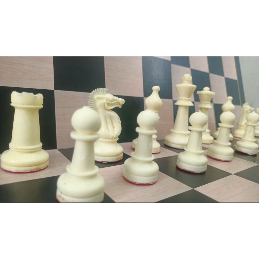 Buah Catur // Bidak Catur // CATUR