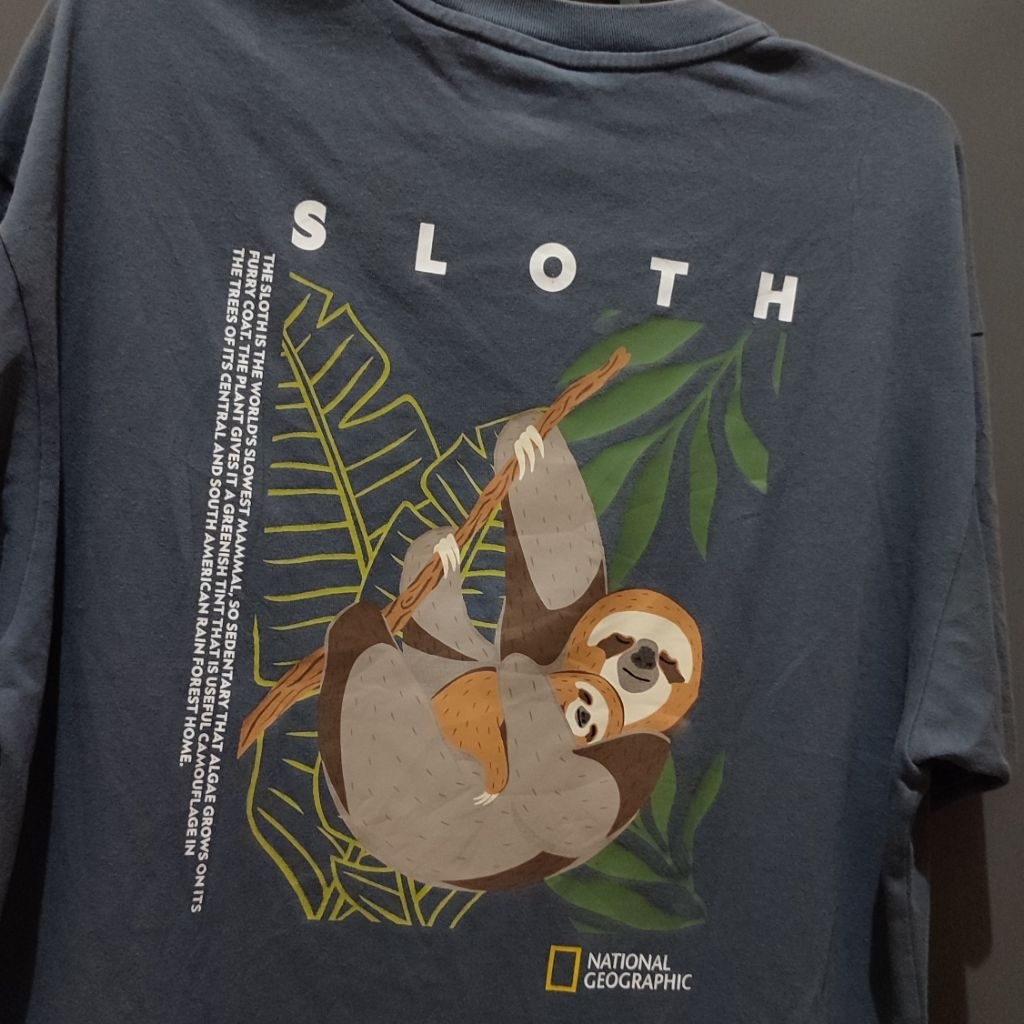 National Geographic Second | Kaos Natgeo Art Sloth