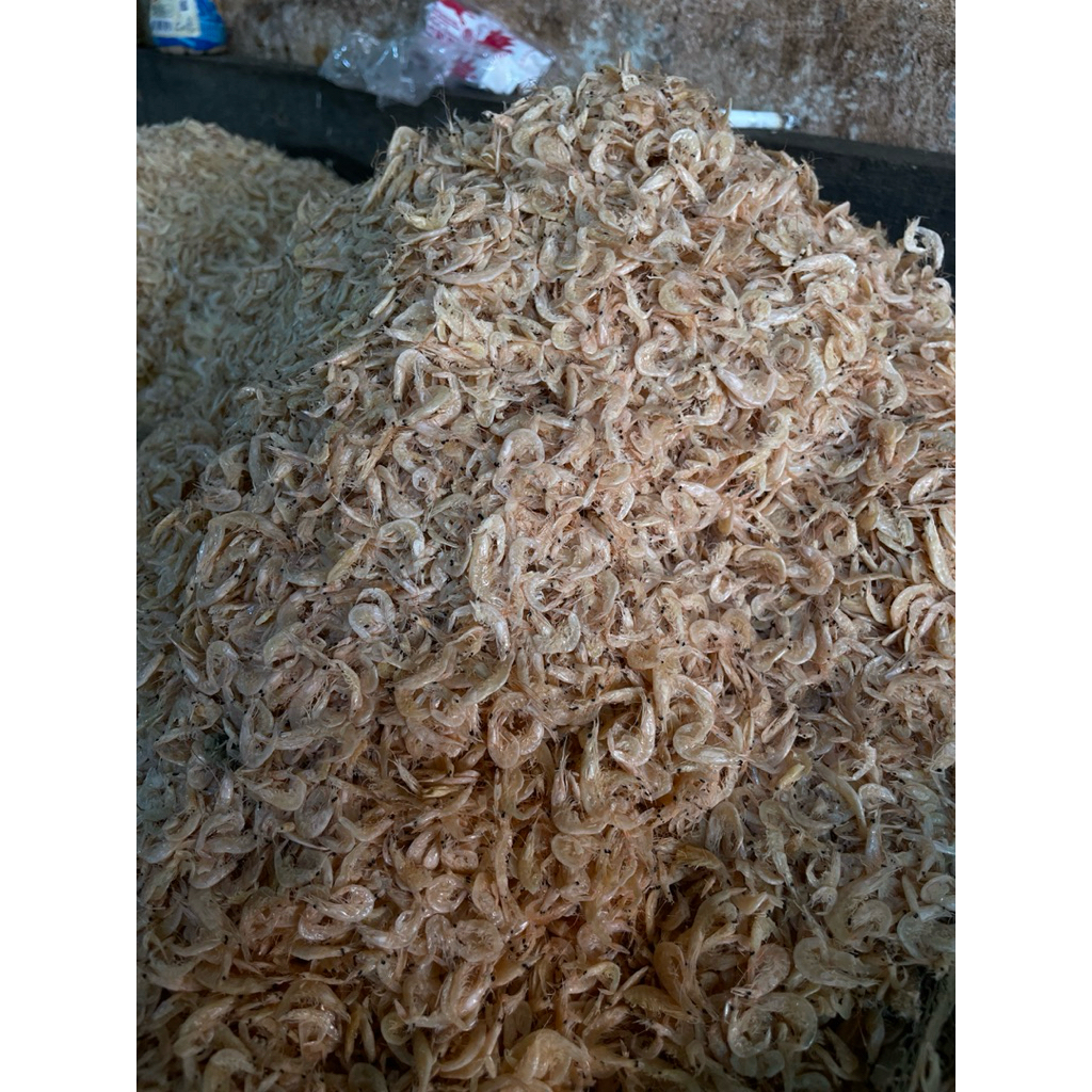 ikan asin udang rebon super kering besar