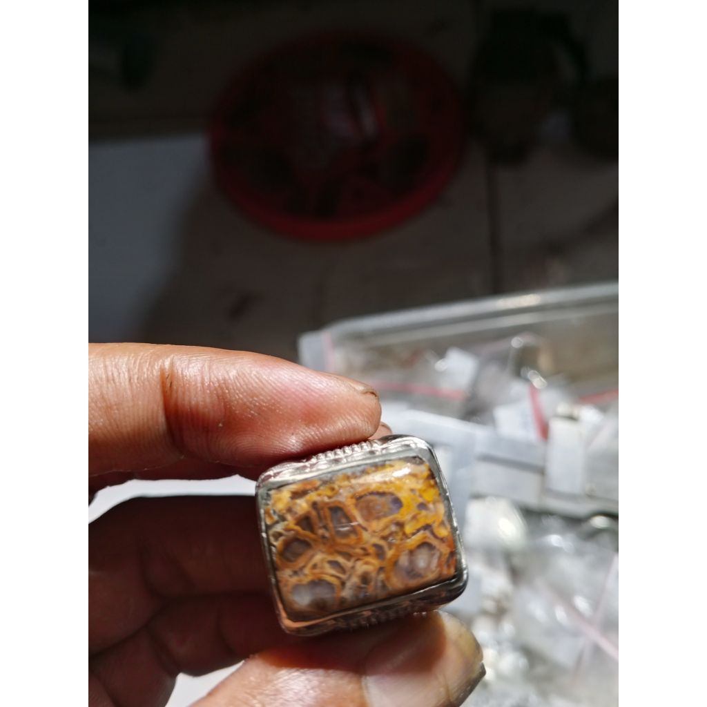 Unik panca warna fosil aren LIWUNG