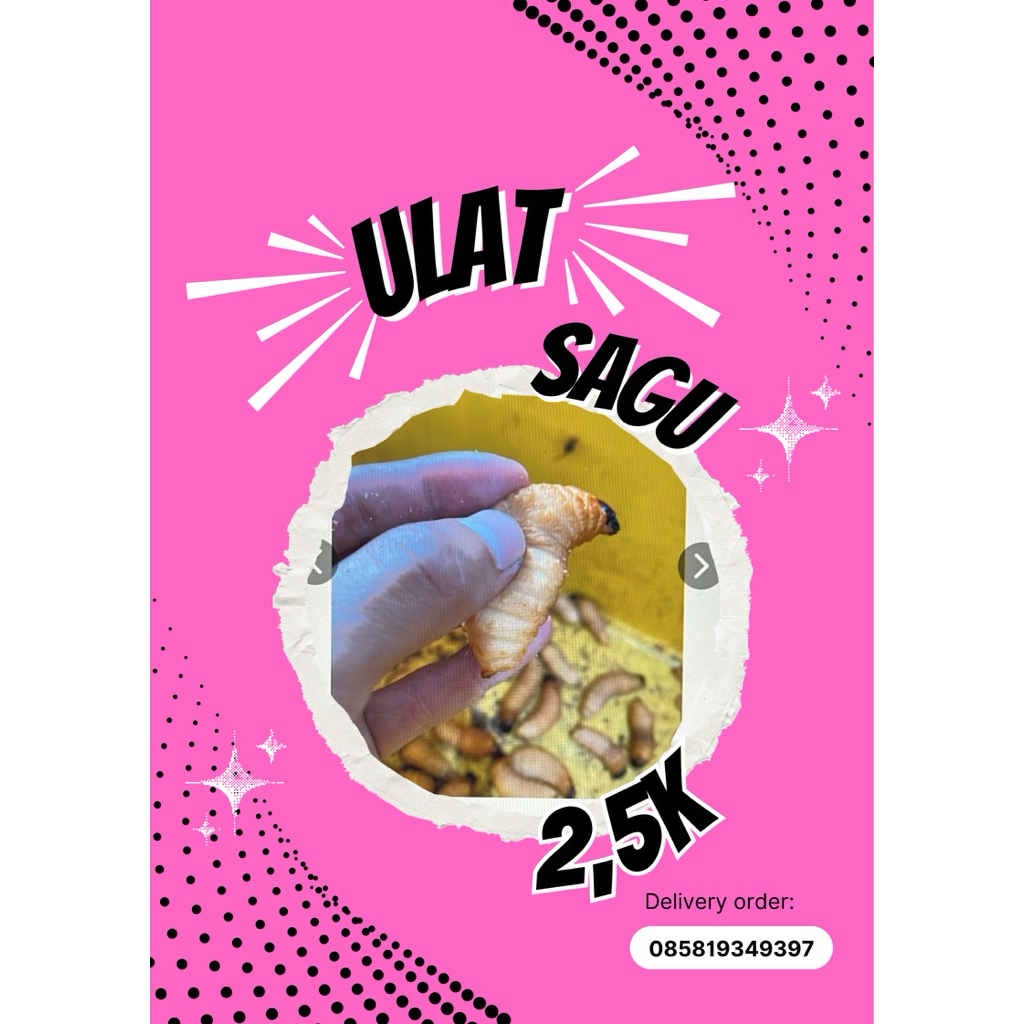 Umpan Ulet Sagu (by eynoa fishing)