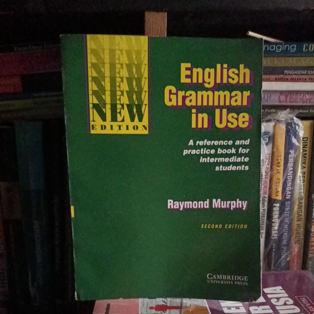 English grammar in use