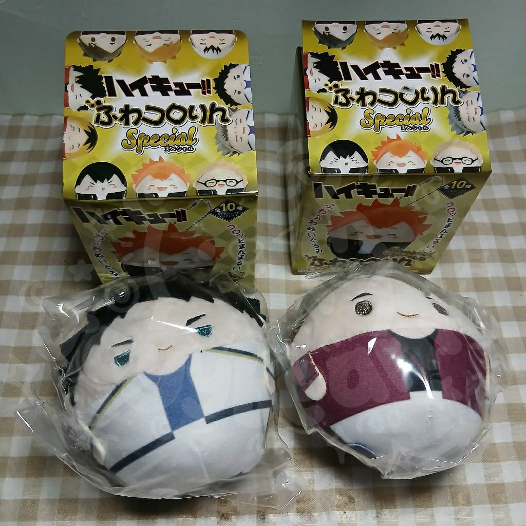(BACA DESKRIPSI) Haikyuu Fuwa Kororin Special Edition S Size Akaashi Osamu Official