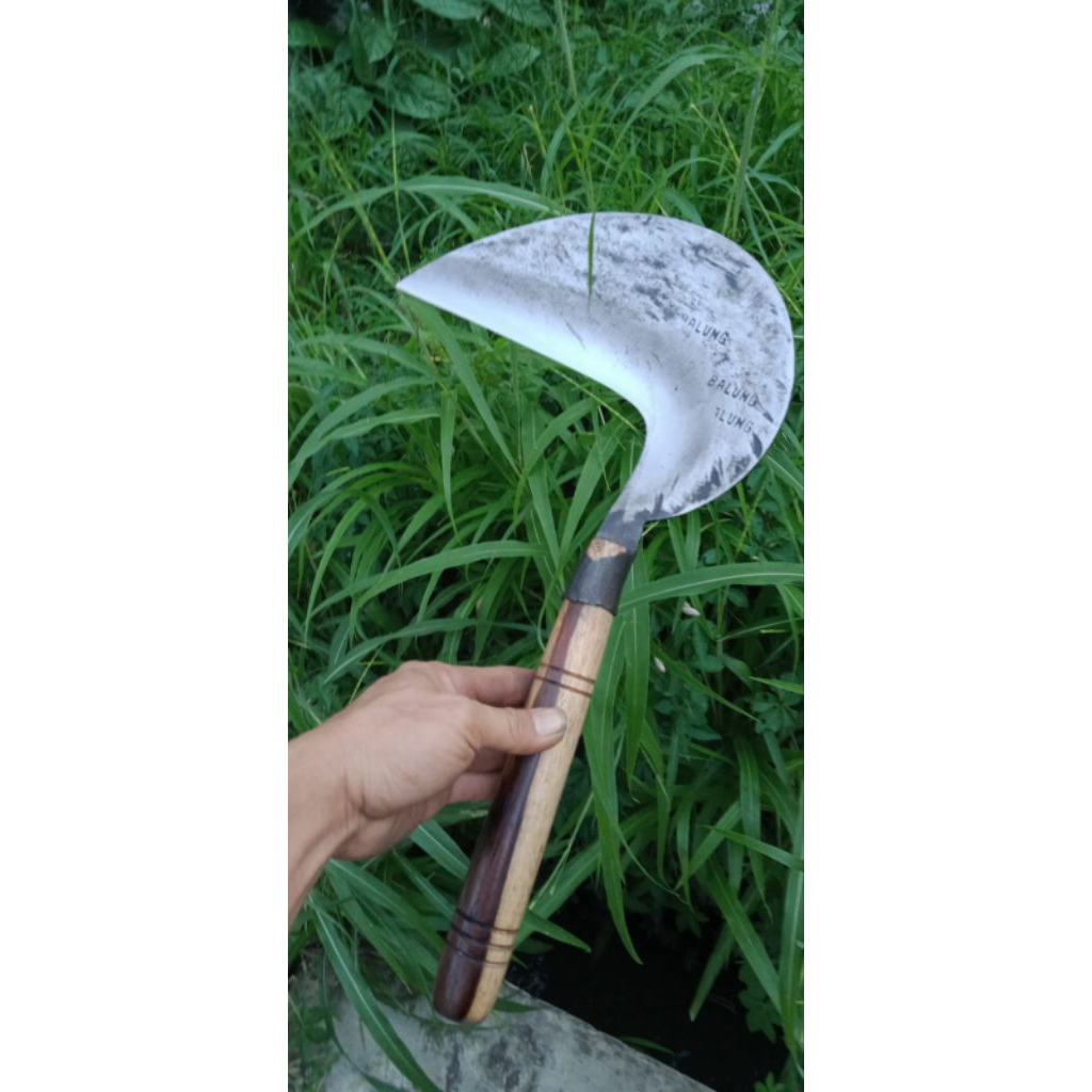 Arit Cap BALUNG Baja Premium Gergaji l Sabit Tajam Anti Tumpul Siap Pakai | Alat Panen Padi & Potong