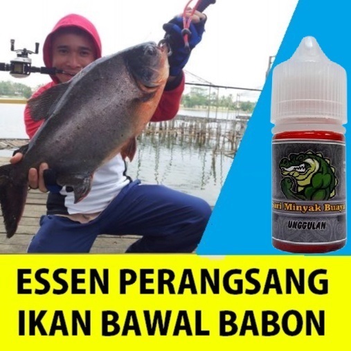 ESSEN PERANGSANG IKAN BAWAL BABON GALATAMA TERBAIK ISI 30ML