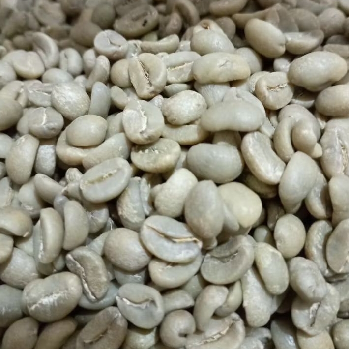 green bean arabika fullwash ciwidey