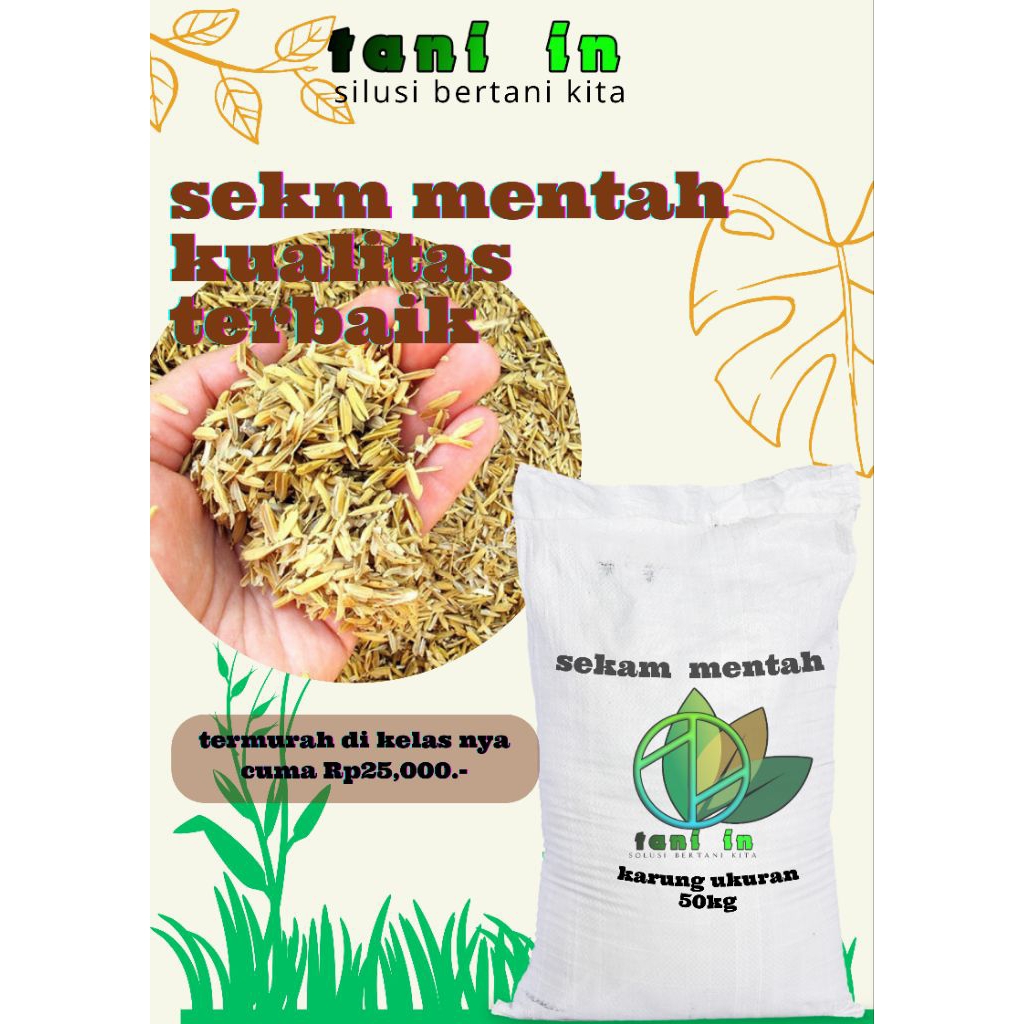 sekam mentah ukuran karung 50kg