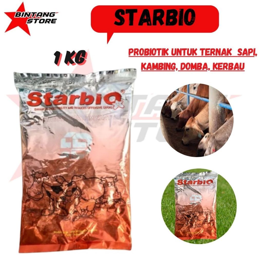 STARBIO PROBIOTIK UNTUK TERNAK RUMINANSIA SAPI KAMBING DOMBA KERBAU BINTANGSTORE