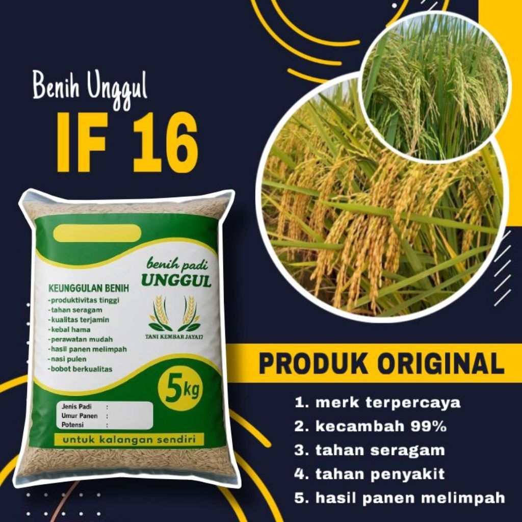 Benih padi unggul IF 16 Berkualitas kemasan 5kg original 100%
