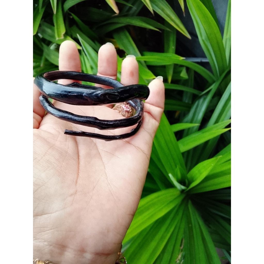 gelang akar Bahar hitam serat combong