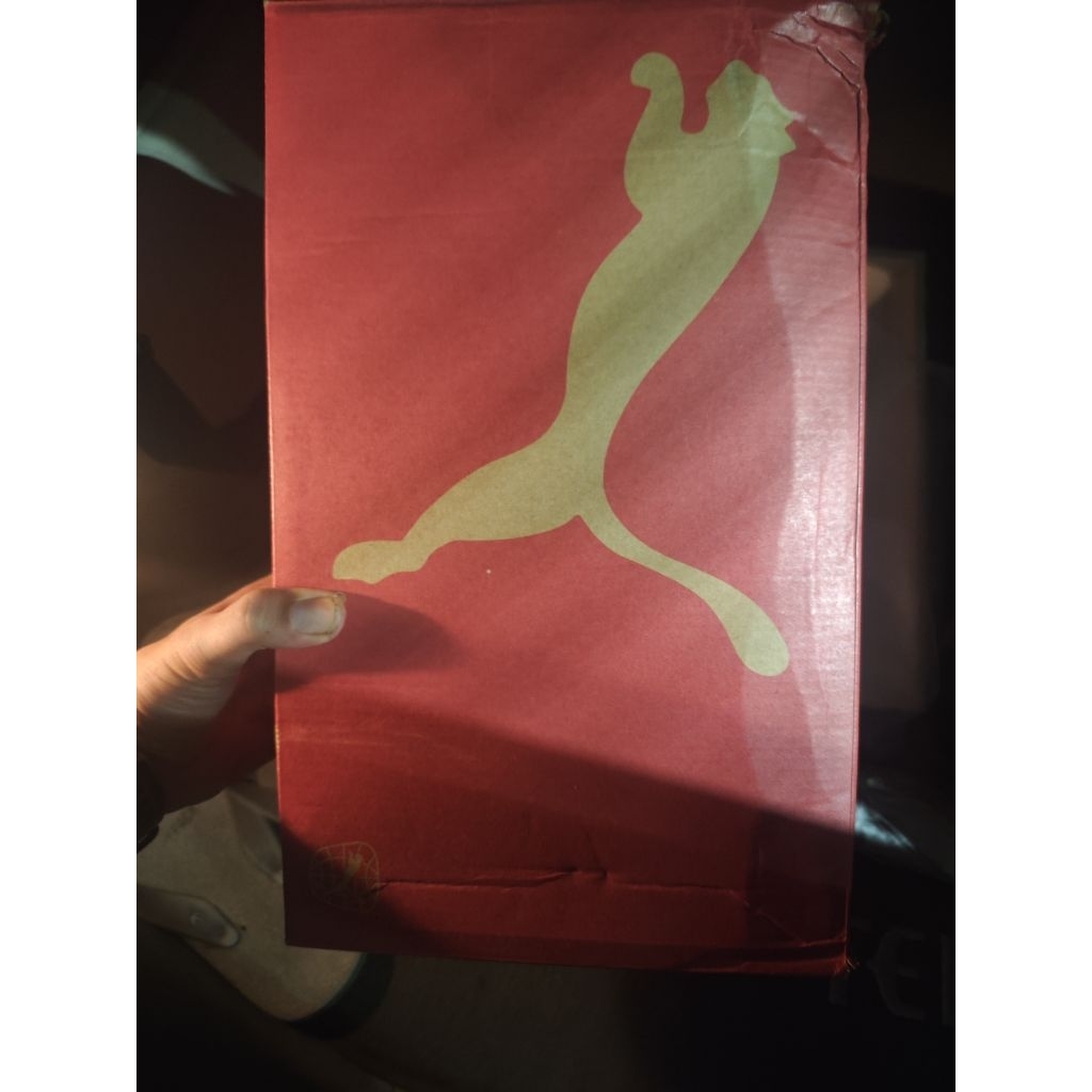 sepatu Puma trail Masih mulus