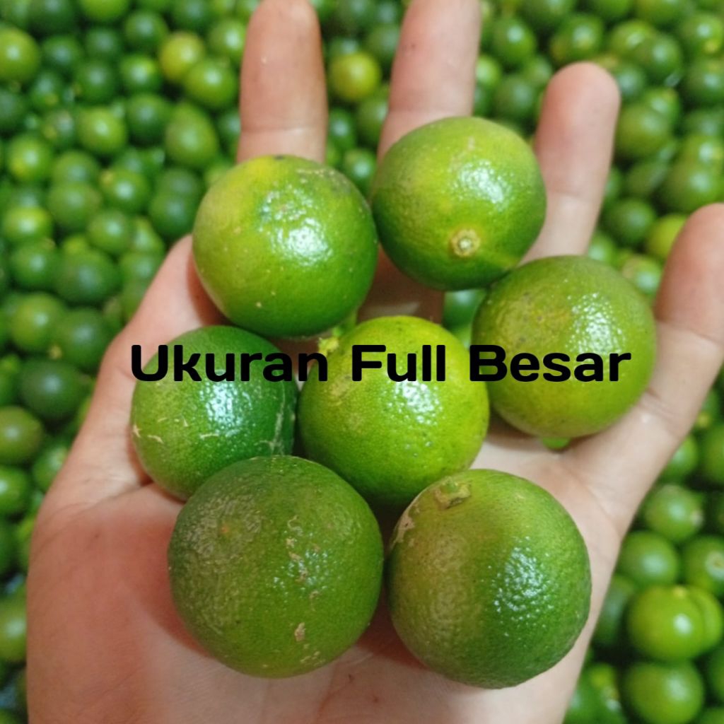 1KG JERUK SONKIT PREMIUM /JERUK KUNCI /JERUK LEMON CUI