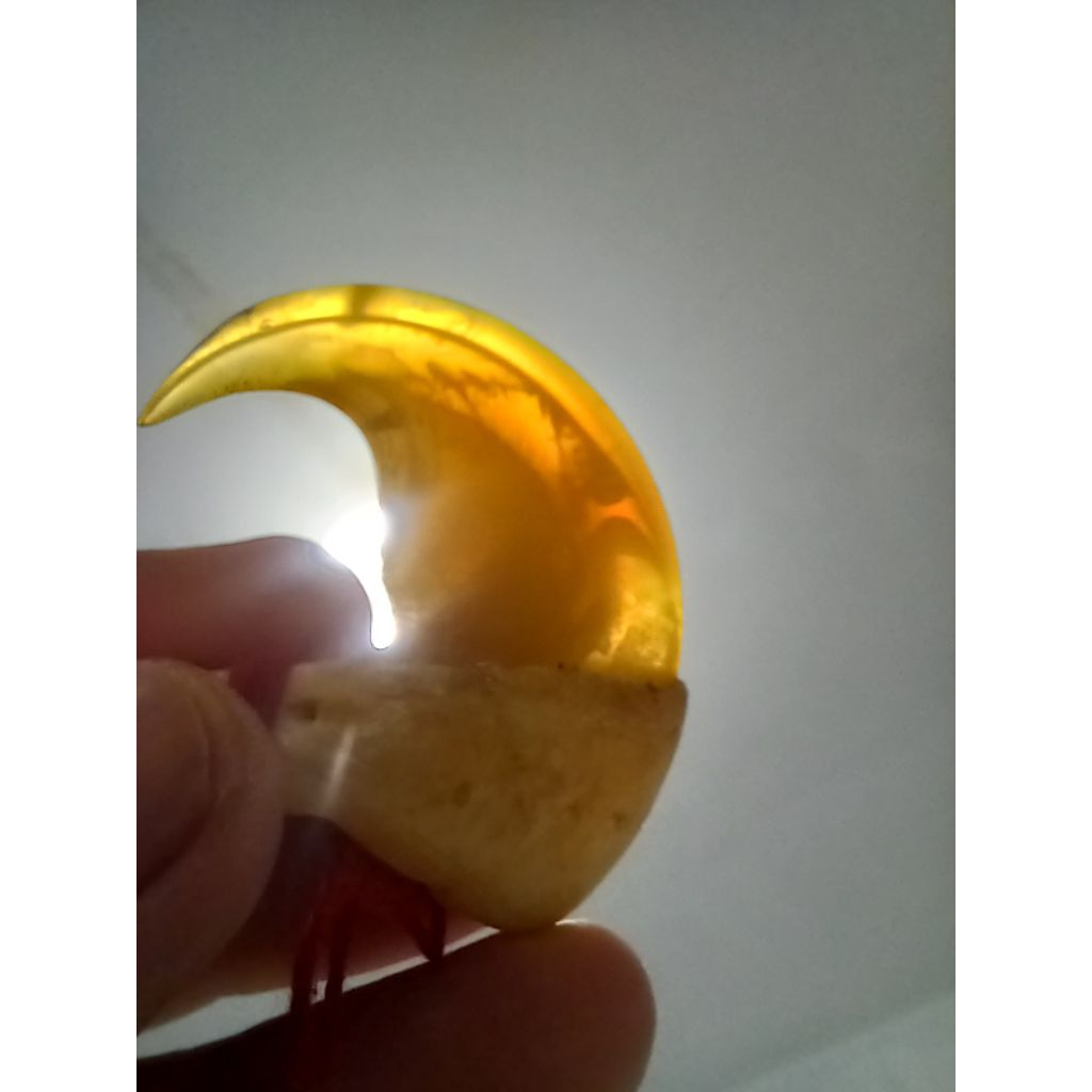 REPLIKA KUKU HARIMAU BERAGAM