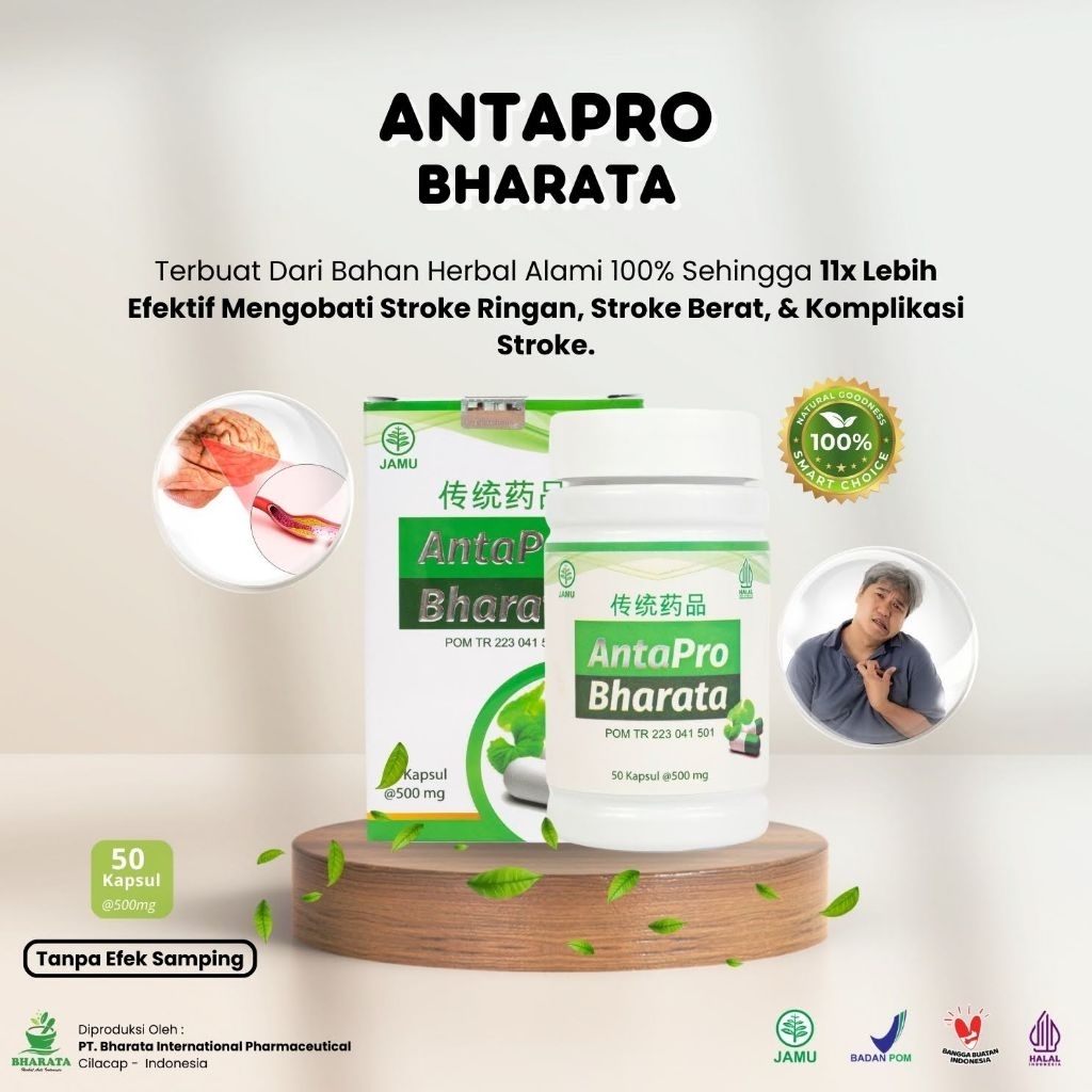 Obat Stroke Ringan, Stroke Berat, Stroke Sebagian