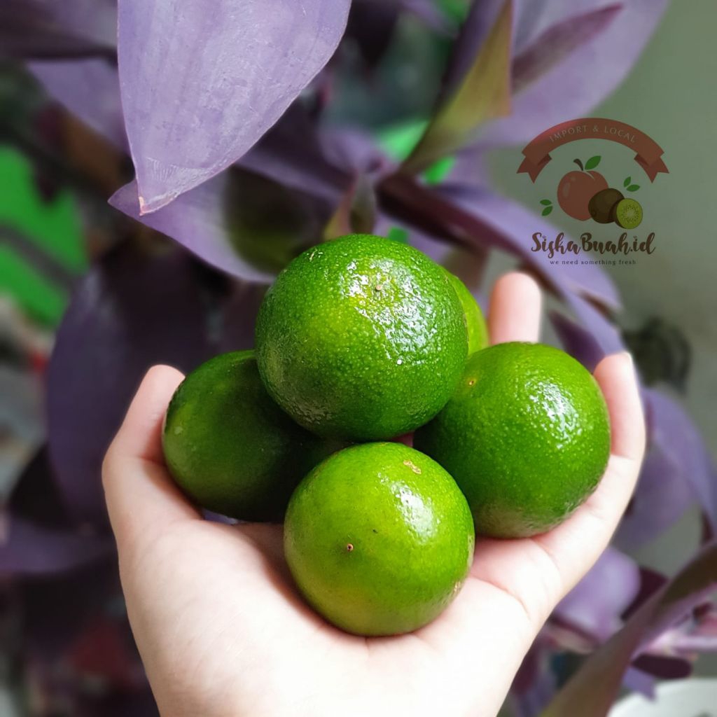 JERUK SANTANG HIJAU MADU IMPORT | JERUK MANIS | JERUK SANTANG