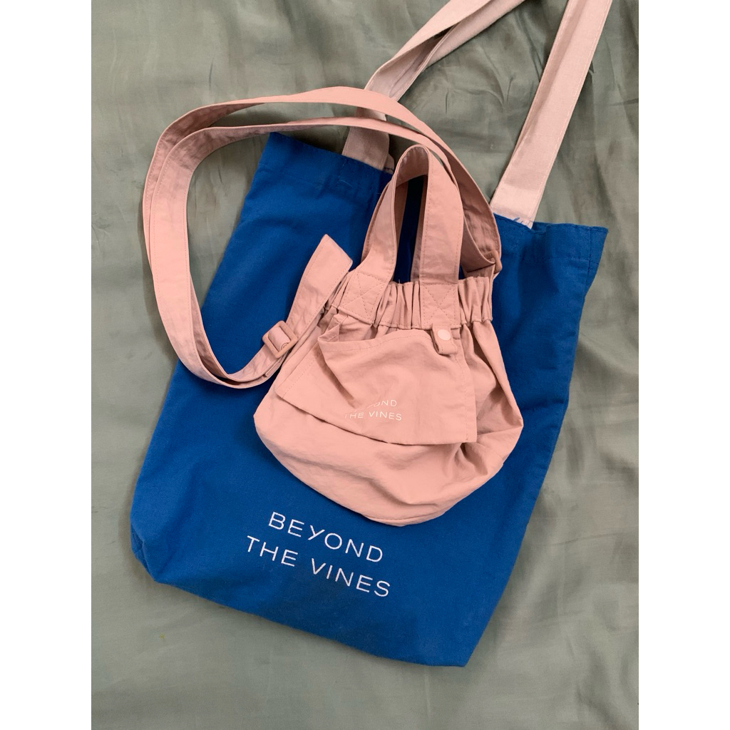 preloved btv dumpling bag micro