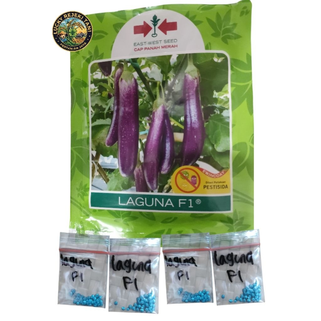 Benih Terong Ungu Laguna F1 kemasan repack