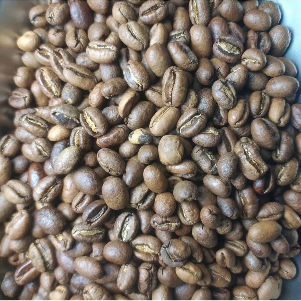 kopi pengunungan wonosobo