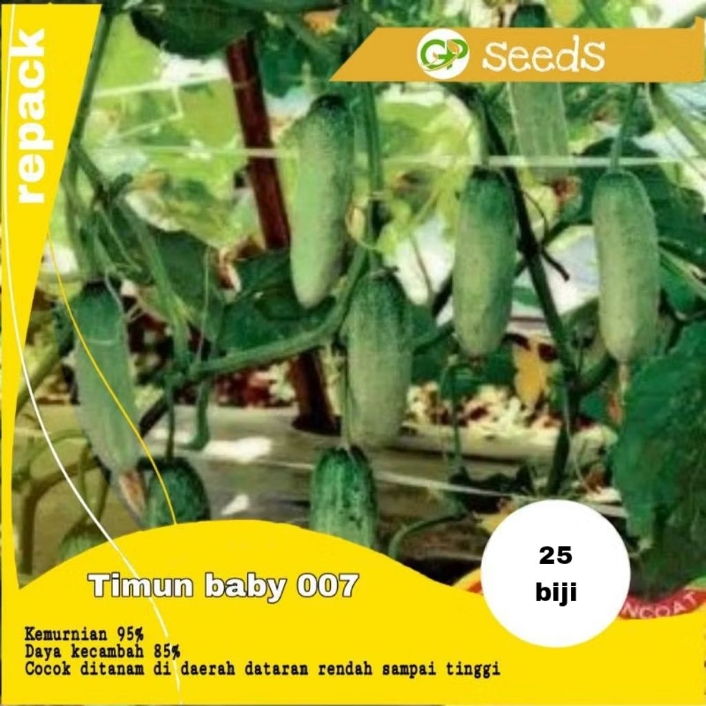 25 biji benih mentimun baby 007 panah merah | benih sayuran | bibit sayuran | benih tanaman