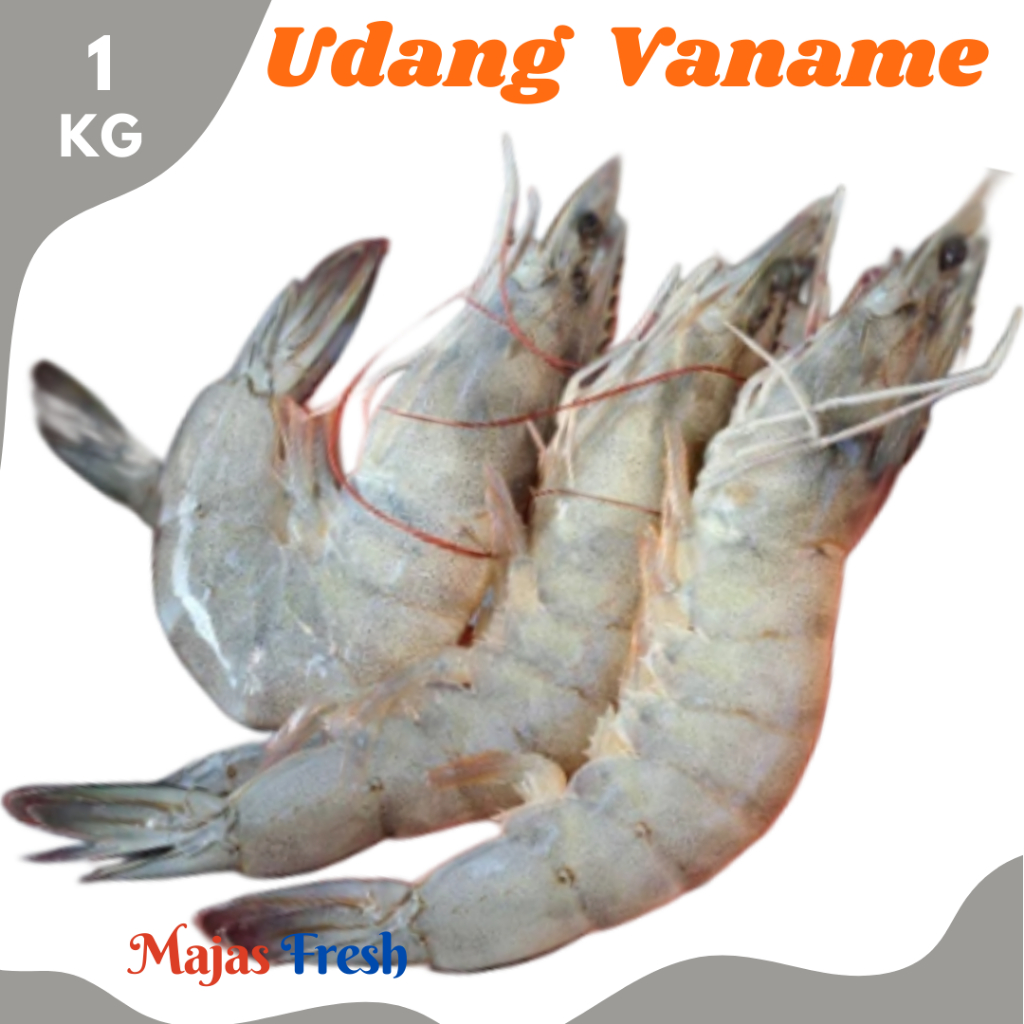 UDANG VANAME Besar Segar - Udang Vaname Vanami Fresh | Size Besar - 1.000gr [ Harga Per KG ]