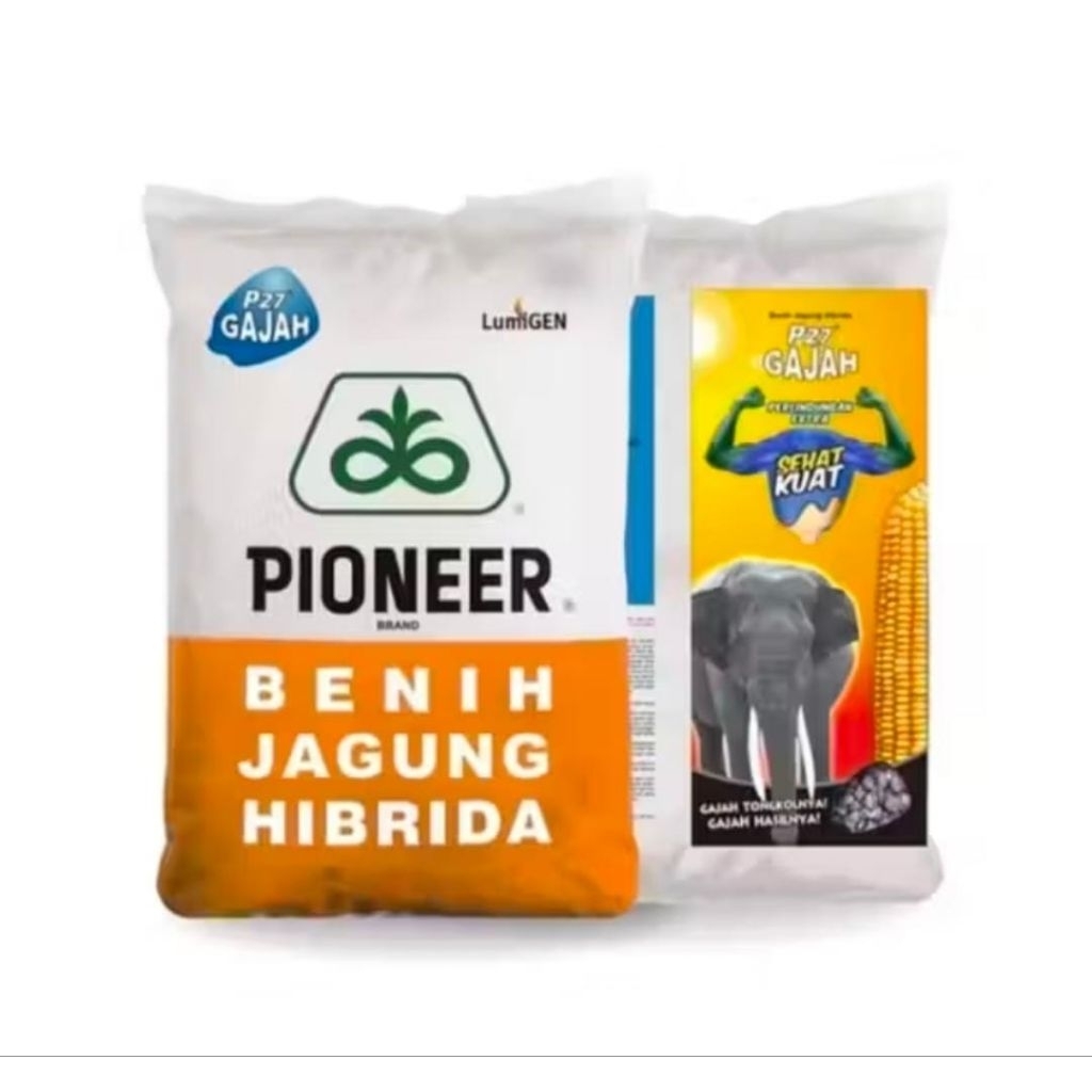 Benih jagung PIONER P27 gajah lumigen 1kg