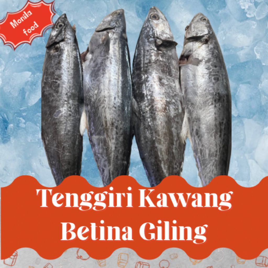 Ikan tenggiri kawang giling tenggiri betina giling kirim instan bandung