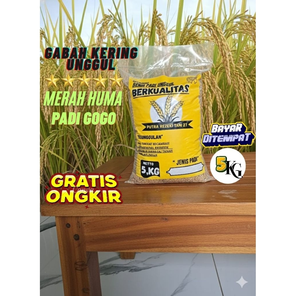 MERAH HUMA (padi Gogo) BIBIT PADI BENIH PADI UNGGUL BERKUALITAS PREMIUM (KEMASAN 5KG)