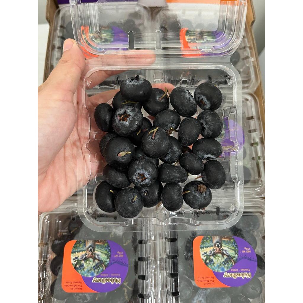 Blueberry  Fresh Import Nuberberry