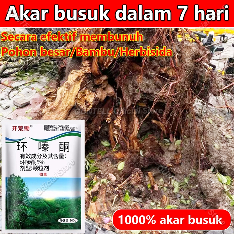 Racun Pohon Besar Paling Ampuh Obat Pembasmi Rumput Pembasmi Rumput Liar Obat Pembasmi Bambu Racun B
