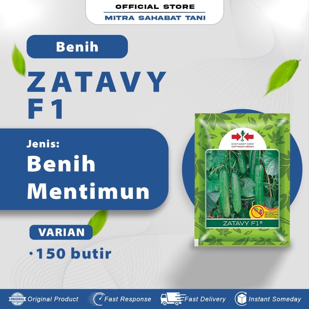 Benih Timun Zatavy 800 Butir