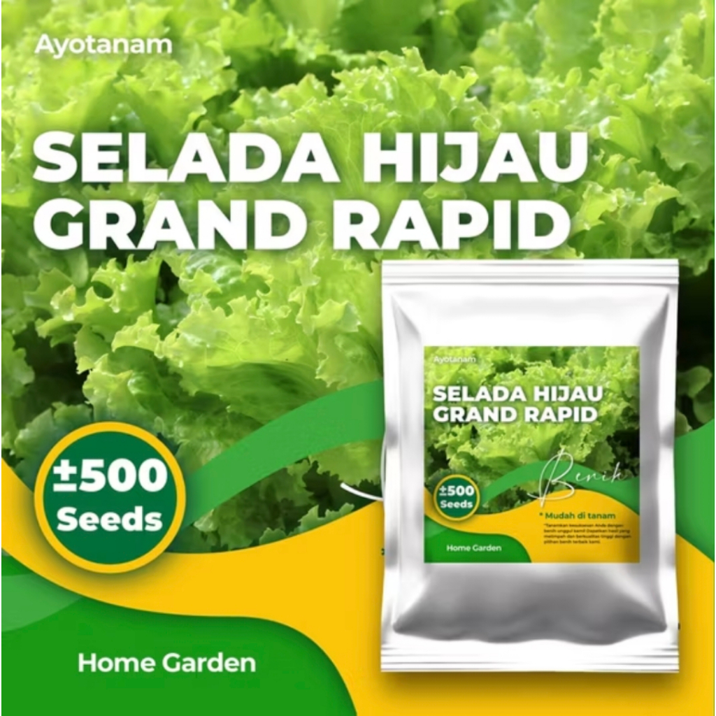 Benih Selada Hijau Grand Rapid isi ± 500 Benih