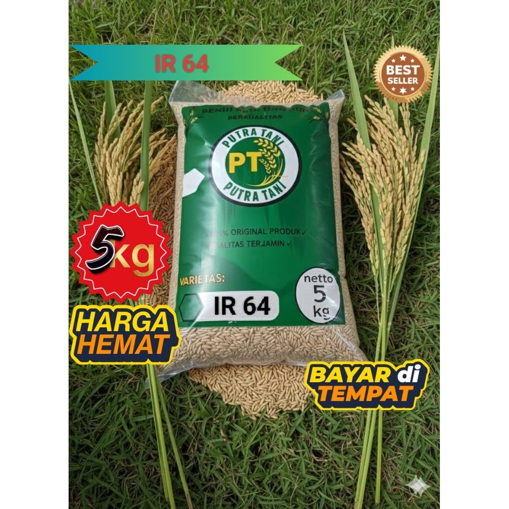IR 64 (KEMASAN 5KG) BIBIT PADI UNGGUL BENIH PADI BERKUALITAS PREMIUM