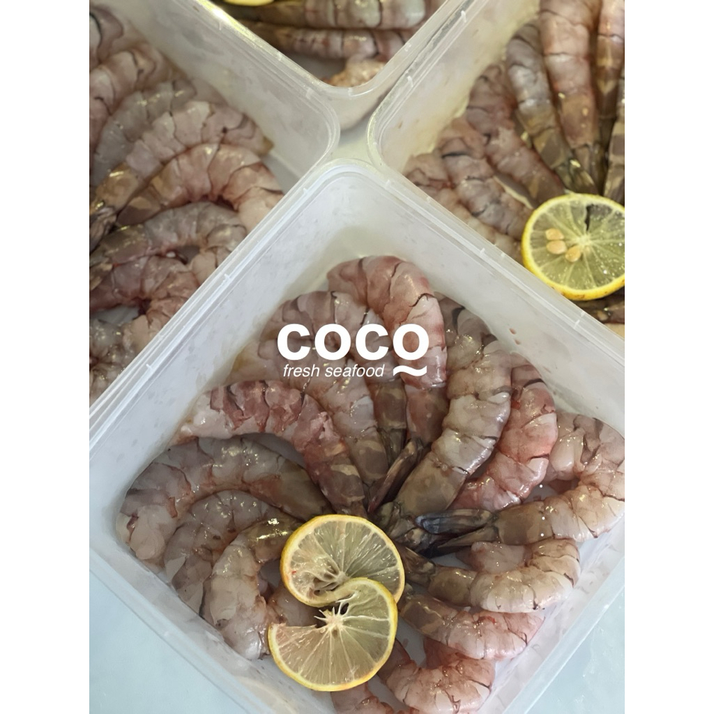Udang Windu Laut Kupas Fresh / Peeled Sea Tiger Prawn