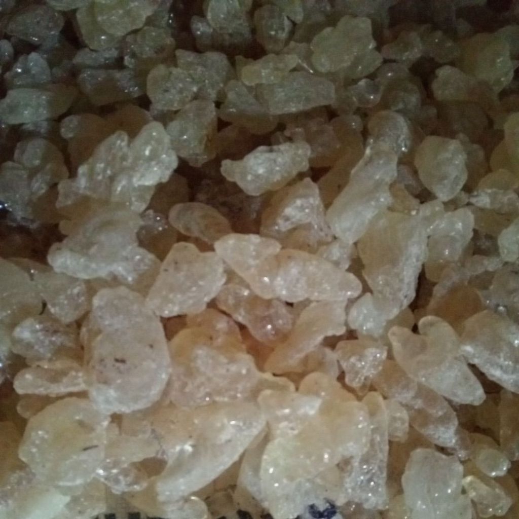 getah damar mata kucing