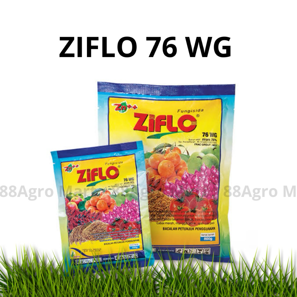 ZIFLO 76WP - fungisida berbahan aktif Ziram 76%