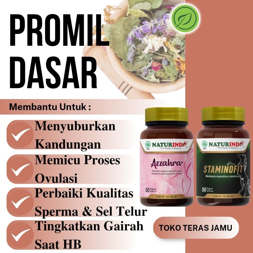 Obat Promil Program Hamil Suami Istri Untuk Kesuburan Pria Wanita Penyubur kandungan dan Penyubur