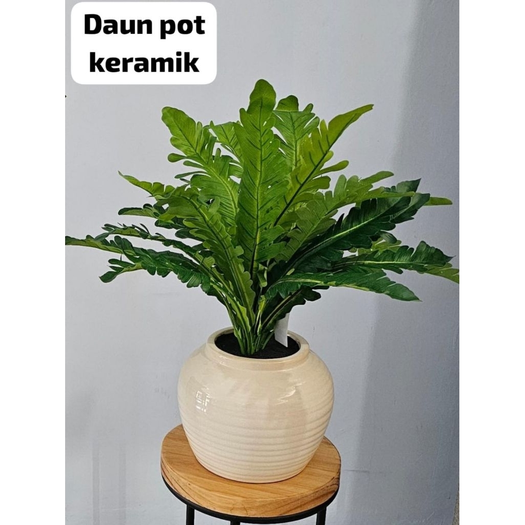 Tanaman hias informa